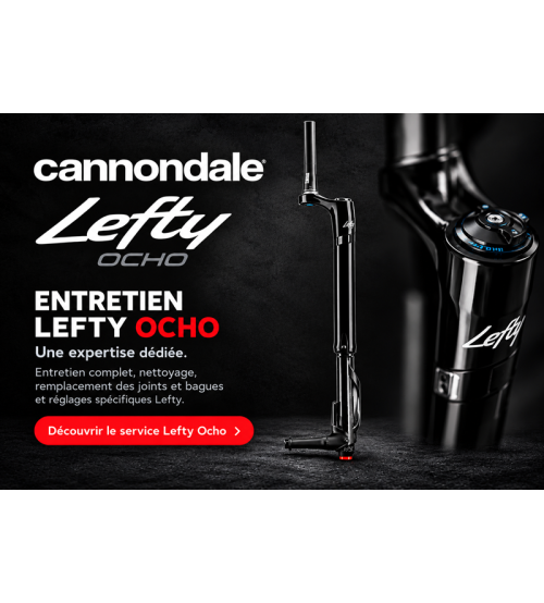 Lefty